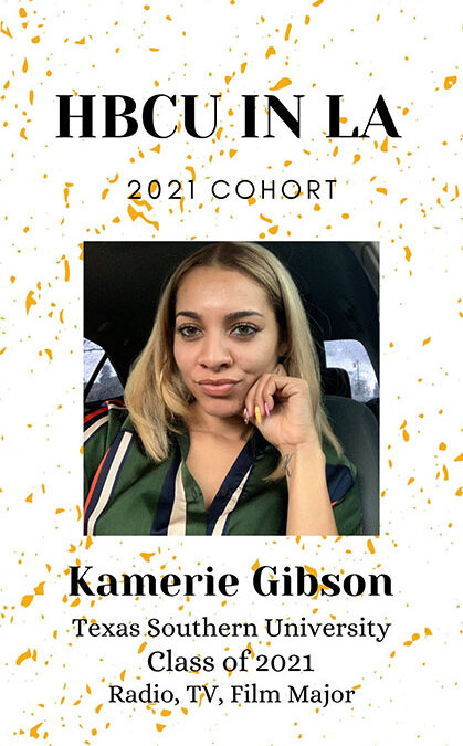 Kamerie Gibson